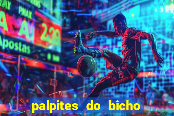 palpites do bicho no celular