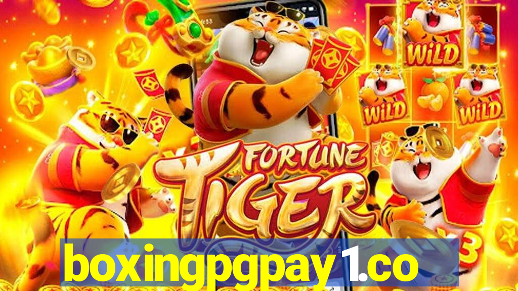 boxingpgpay1.com