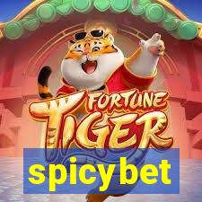 spicybet-1.com